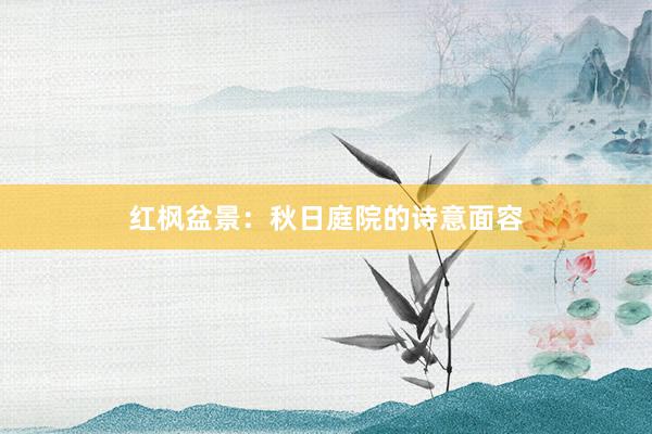 红枫盆景：秋日庭院的诗意面容
