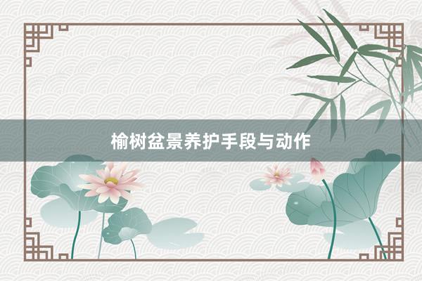 榆树盆景养护手段与动作