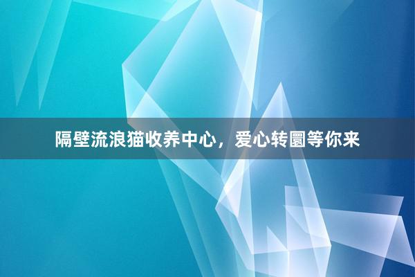 隔壁流浪猫收养中心，爱心转圜等你来