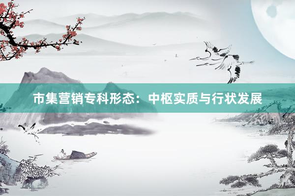 市集营销专科形态：中枢实质与行状发展
