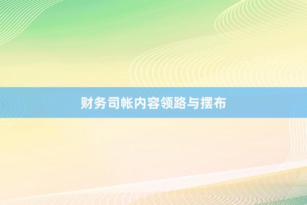 财务司帐内容领路与摆布
